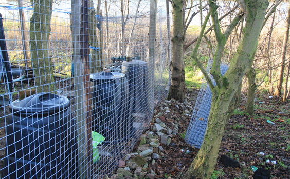 wire mesh chicken compound