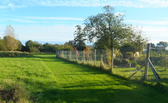 duck mesh fence