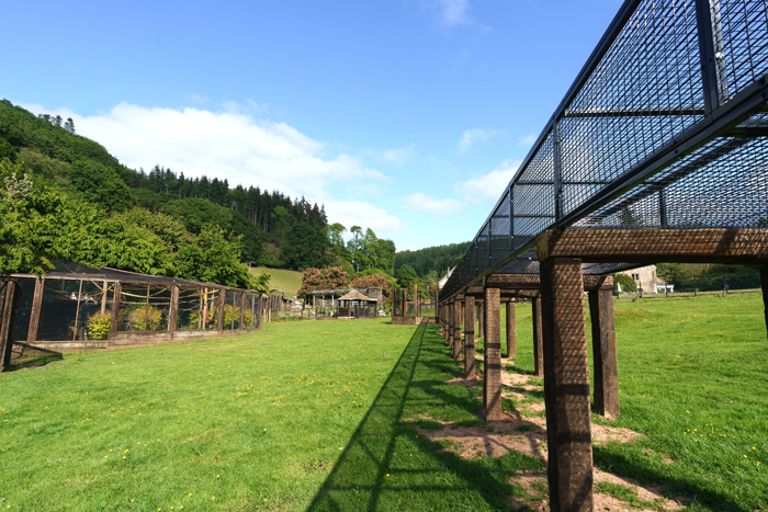 lion tunnel