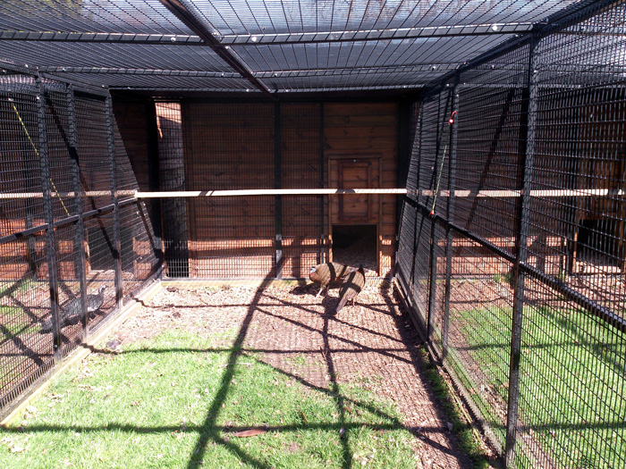 Animal Cages