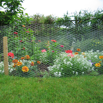 Rabbit Netting