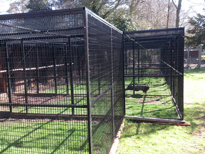 Multiple Cage at a Zoo