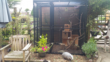 Chipmunk Cage, outdoor run, with safety porch