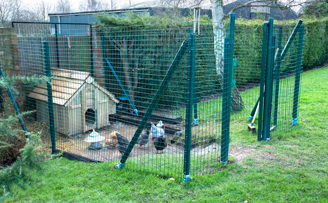 Intermediate chicken run for free ranging birds