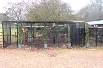 Outdoor Aviary for Owl and Reindeer