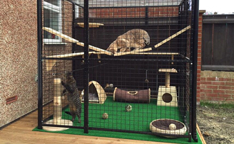 Ares & Apollo's safe outdoor play area