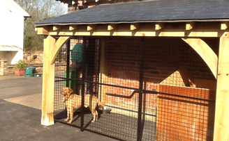 Timber Framed Dog Run Structure with mesh panel infill